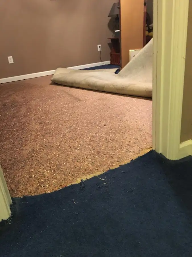 Carpet pad removal revealing water damage during Drying & Dehumidification in Flushing