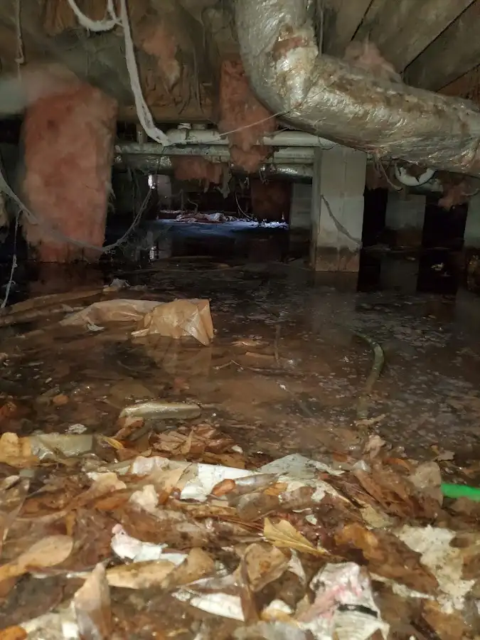Crawl space flood assessment for Leak Detection & Repair in Flushing