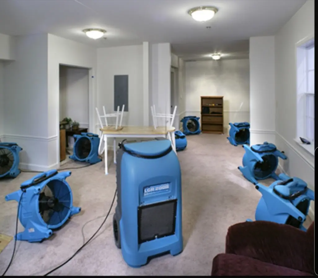 Air movers and dehumidifier setup for Water Extraction & Removal in Flushing