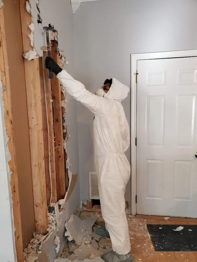 Mold Remediation & Removal in Flushing, MI